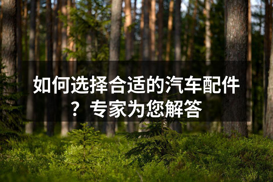 选择优质汽车配件提升安全性